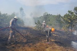 Damkar Tanjung Uban tangani kebakaran lahan 3 hektare di Bintan
