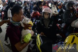 Pasutri ini bawa dua kucing kesayangannya mudik ke Sumatera