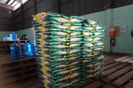 Bulog Belitung distribusikan 914.690 kilogram beras SPHP selama Ramadhan