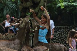 Bali Zoo semarakkan libur Lebaran dengan 10 aktivitas ramah keluarga