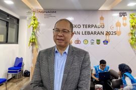 Bandara Hang Nadim Batam catat tren peningkatan penerbangan dan pemudik