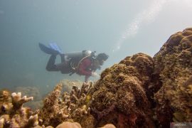 Indonesia tightens cruise ship oversight to protect coral reefs