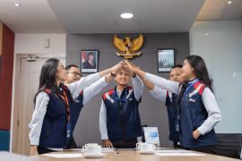 WSBP records revenue growth of 31.58% throughout 2024