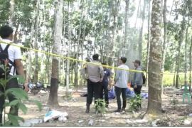 Polda Lampung limpahkan berkas perkara kasus sabung ayam ke Denpom