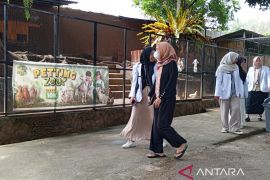 Libur Idul Fitri 2025, THPS beri pengalaman pengunjung interaksi dengan satwa