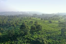 Dokumen perizinan Eiger Camp di sekitar kaki Tangkuban Parahu sudah lengkap