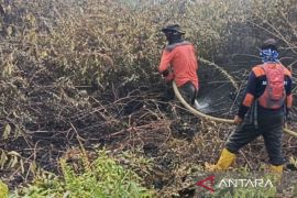 BPBD: Kebakaran di Aceh Barat meluas menjadi 2,5 Ha