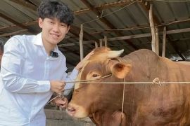 Drama rendang 200 kg: Permintaan maaf Willie Salim dan kecaman Sultan Palembang