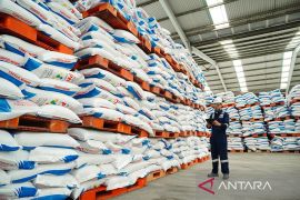 Petrokimia Gresik jamin distribusi pupuk subsidi lancar meski Lebaran