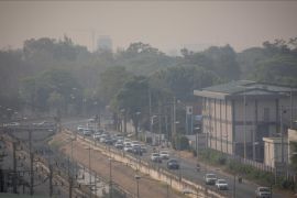 Paparan polusi udara masa kecil picu risiko kesehatan dewasa