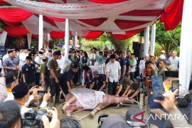 Tradisi potong 'kebo' secara patungan ingatkan Rano Karno akan masa kecil
