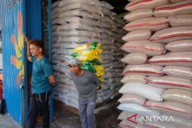 Bulog Cabang Rejang Lebong serap 461 ton beras petani