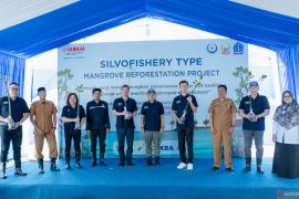 Yamaha Motor Group kembali tanam ratusan ribu mangrove di Indonesia