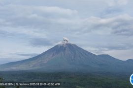 Gunung Semeru erupsi  muntahkan abu panas setinggi 800 meter