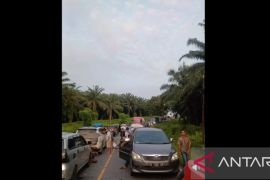 Arus mudik Jalinsum perbatasan Sumut-Riau macet panjang