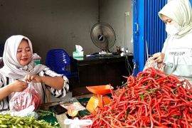 Harga cabai merah di Merangin tembus Rp100 ribu H-1 Lebaran