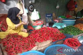 Jelang Idul Fitri, Harga cabai dan bawang melonjak di Makassar