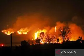 Kebakaran hutan Hadong, Korsel, sebagian besar telah dikendalikan
