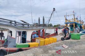 Ratusan kapal penangkap ikan di Aceh Timur tidak beroperasi