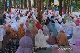 Ribuan orang mengikuti Salat Id di Kalipepe Land