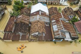 Walhi: Banjir di Jambi akibat pengelolaan SDA yang keliru