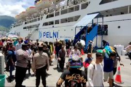 Pelni Jayapura tetapkan 8 kapal untuk layani arus mudik lebaran