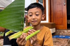 Asyiknya anak lereng Semeru main balap perahu dari pelepah pisang