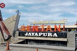 Bandara Sentani perkirakan puncak arus mudik lebaran pada 28 Maret