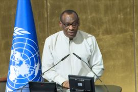 Pemuda Afrika didesak manfaatkan peluang ekonomi dari AfCFTA