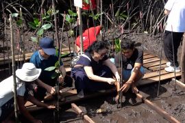 Pengelola Hutan Lindung di Batam ajak turis asing tanam mangrove