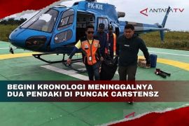 Begini kronologi meninggalnya dua pendaki di Puncak Carstensz