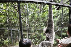 Polda Lampung giatkan pengamanan lokasi wisata pada libur Lebaran 2025