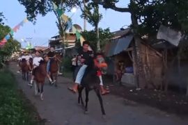 Ratusan ekor kuda meriahkan Adat Tiu warga Jantuk Lombok Timur
