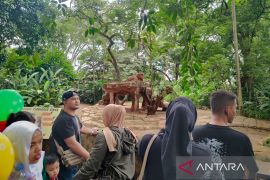 Kunjungan di Kebon Binatang Bandung alami peningkatan pada H+1 lebaran