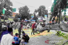 Kemensos jamin santunan 22 korban pohon tumbang saat Shalat Id