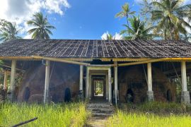 Konservasi mangrove oleh perempuan Desa Berakit Kepulauan Riau