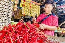 Harga bumbu dapur di Aceh Barat melambung, cabai merah tembus Rp80 ribu/kg
