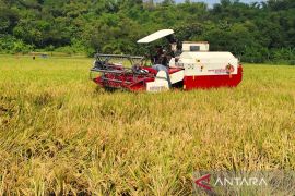Harga bahan pokok di Boyolali Jateng terjaga stabil selama Lebaran