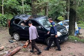 Seorang wisatawan kemah di Karanganyar meninggal tertimpa pohon