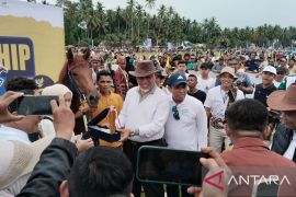 Pacuan kuda di Padang Pariaman dibuka gubernur usai lama tak aktif