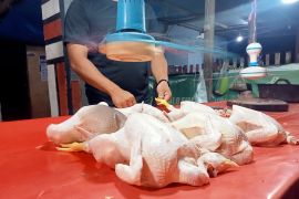Harga ayam potong naik jelang perayaan Lebaran Ketupat di Bone Bolango