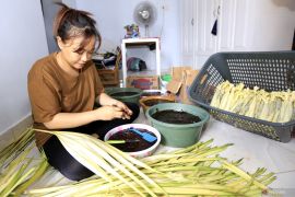 Jelang Lebaran Ketupat, warga Jaton di Gorontalo siapkan menu dodol