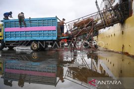 Kaltim masih bergantung pasokan sapi 70 persen  dari luar daerah