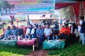 Dispar: Pesta Pantai Sasak Pasaman Barat 2025 berjalan lancar