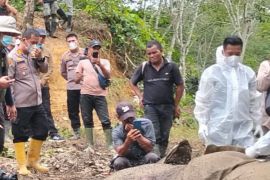 Gajah jantan berusia 12 tahun mati di areal PT Rapala berbatasan dengan TNGL