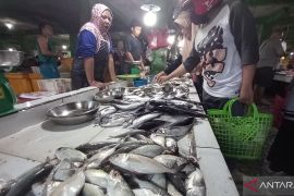 Pasokan ikan segar di Pasar Pangkalpinang Babel kurang