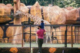 Sebanyak 72.500 pengunjung nikmati libur Lebaran di KBS