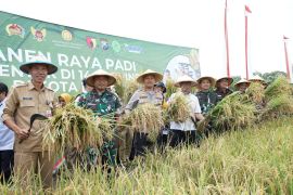 Pemkot Kediri: Panen raya jadi penguat ketahanan pangan lokal