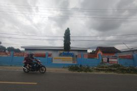 Bulog Bima berhasil jual stok jagung serapan 2024