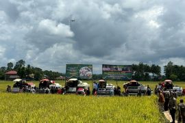 Pemprov Sulsel panen raya serentak di 12 kabupaten